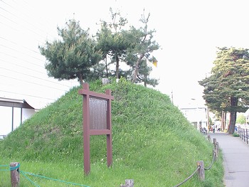 草刈り前の上田一里塚2011年6月